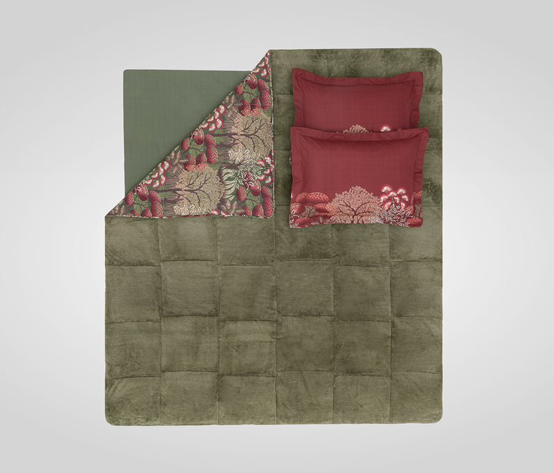 Klimt Triola set