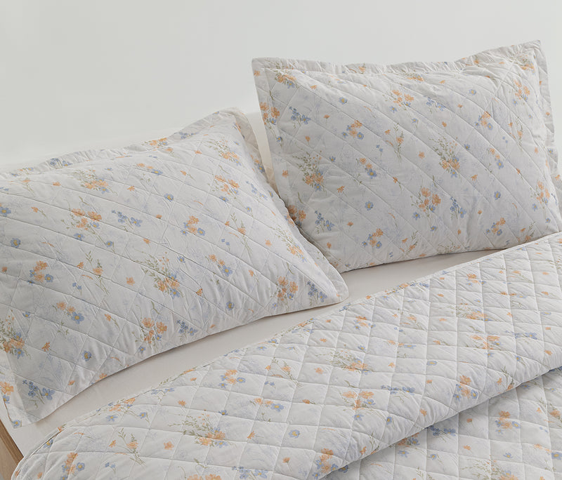 Breya Multifunctioneel plaid