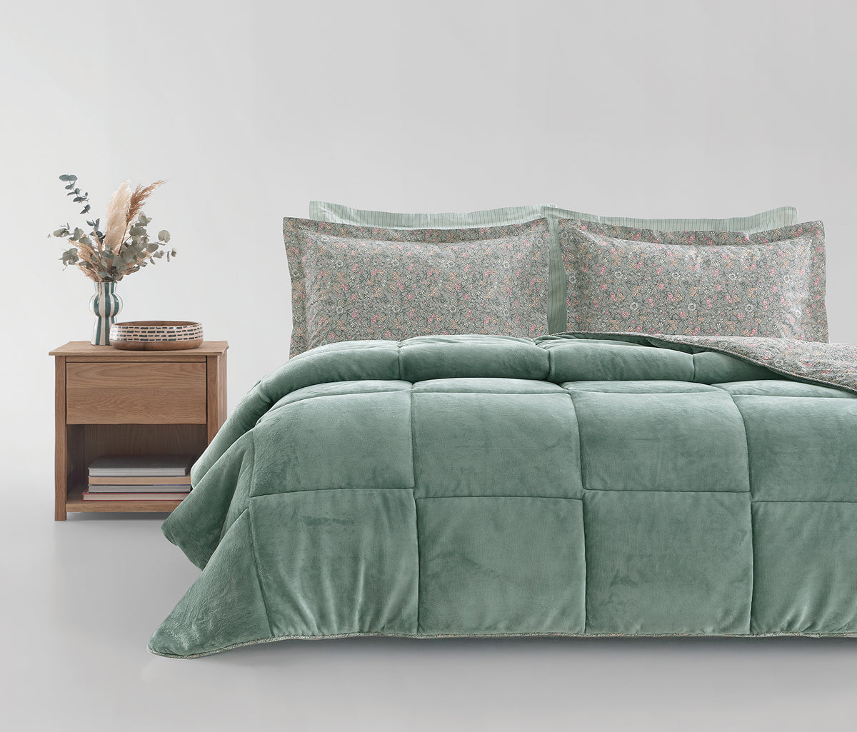 Piante Triola set