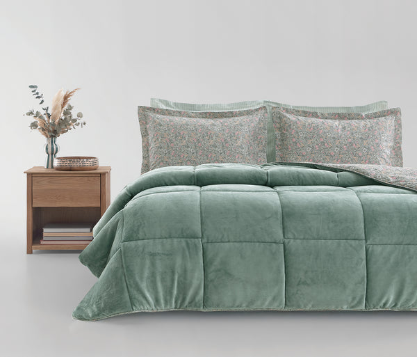 Piante Triola set