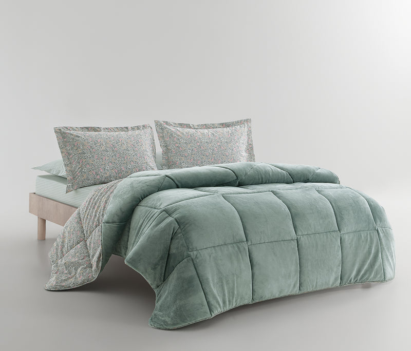 Piante Triola set