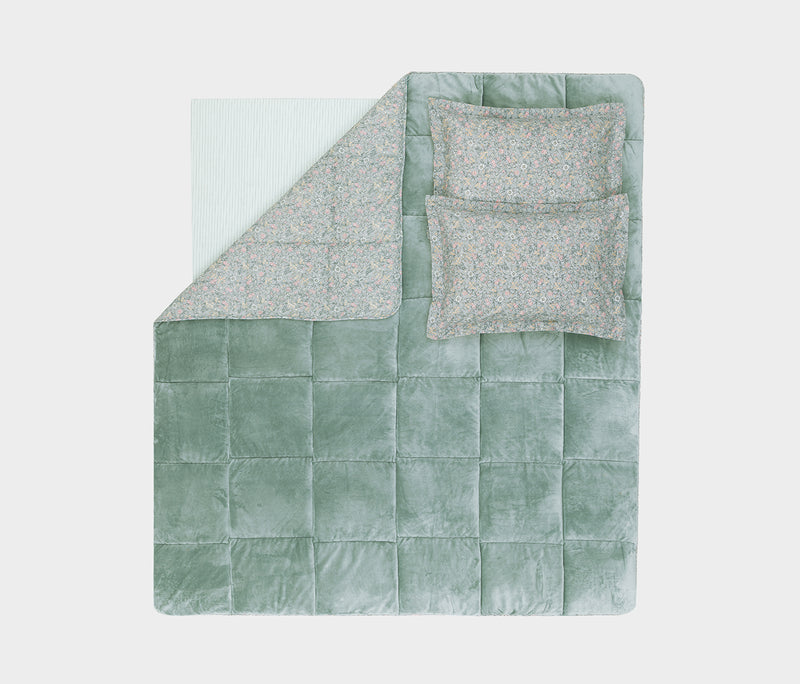 Piante Triola set