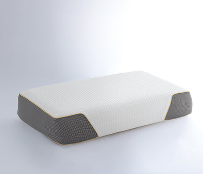 Visco Therapy SPA Extra kussensloop