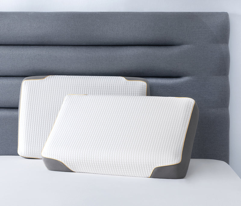Visco Therapy SPA Extra kussensloop