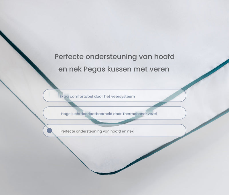 Pegas Kussen met veren