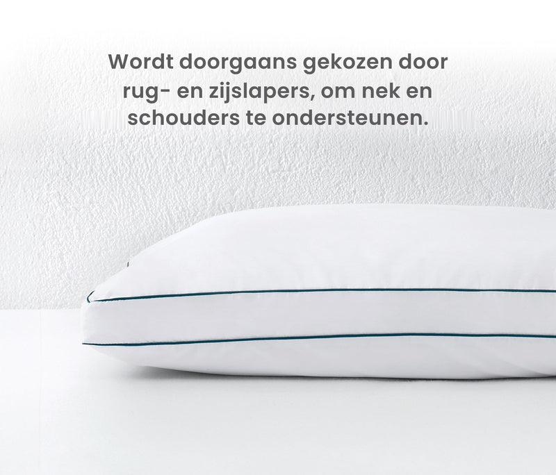 Pegas Kussen met veren