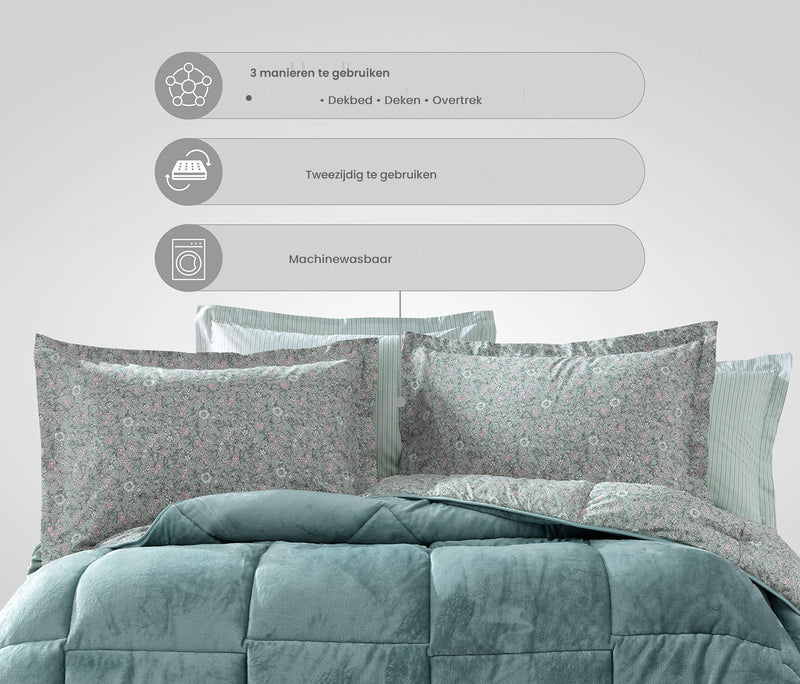Piante Triola set