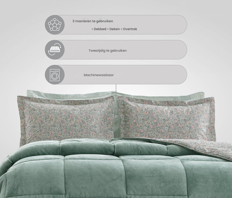 Piante Triola set