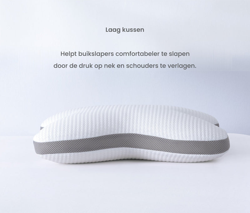 Visco Rina Kussen